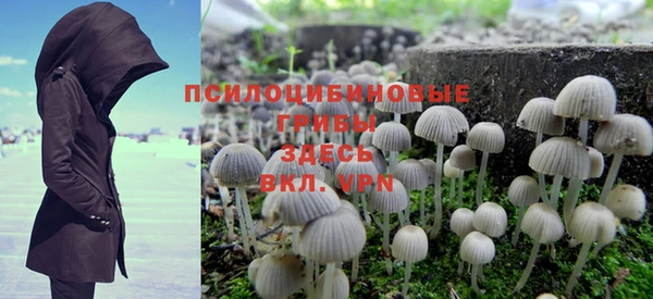 прущая мука Алзамай